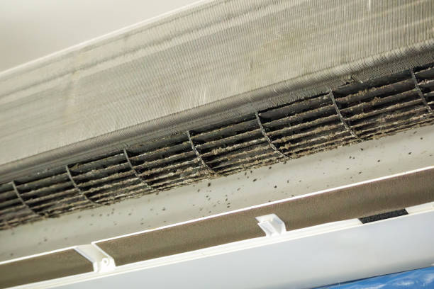 Best Home Air Vent Cleaning  in Olathe, CO